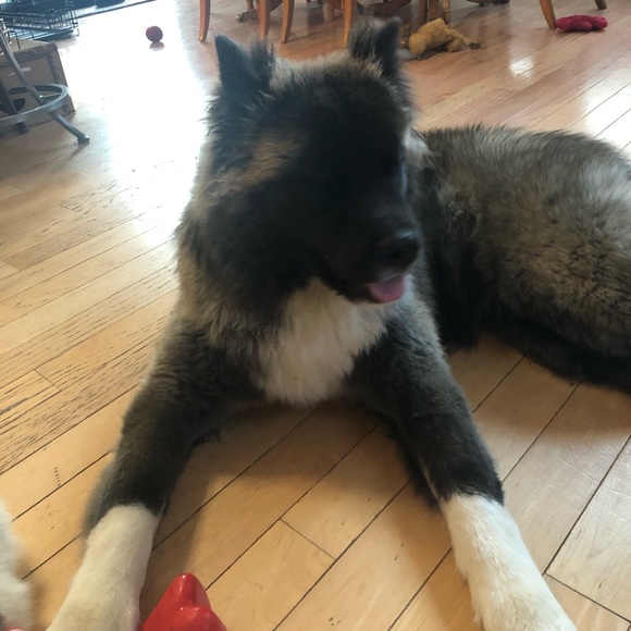 Meet your Posher, Ann Marie - Picture 2 of 2